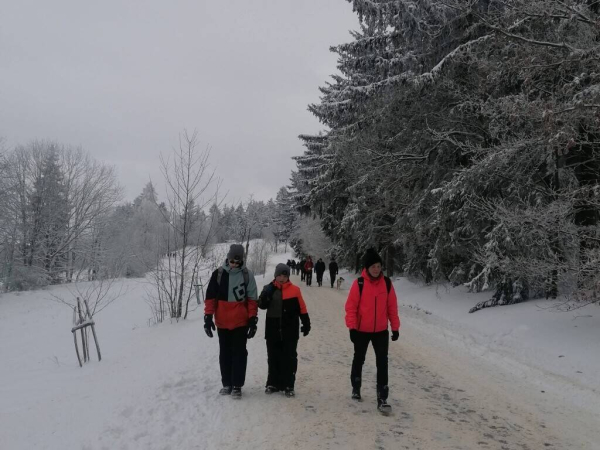 050