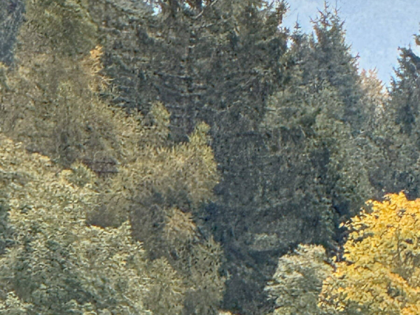 37